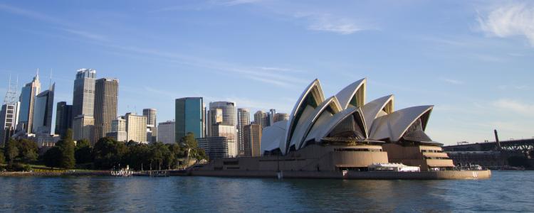 What Is The Best Wood For Your Sauna