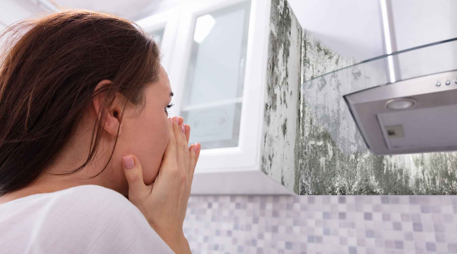 How to Detox Your Body from Mold with Sauna Benefits – Clearlight Saunas UK  Ltd