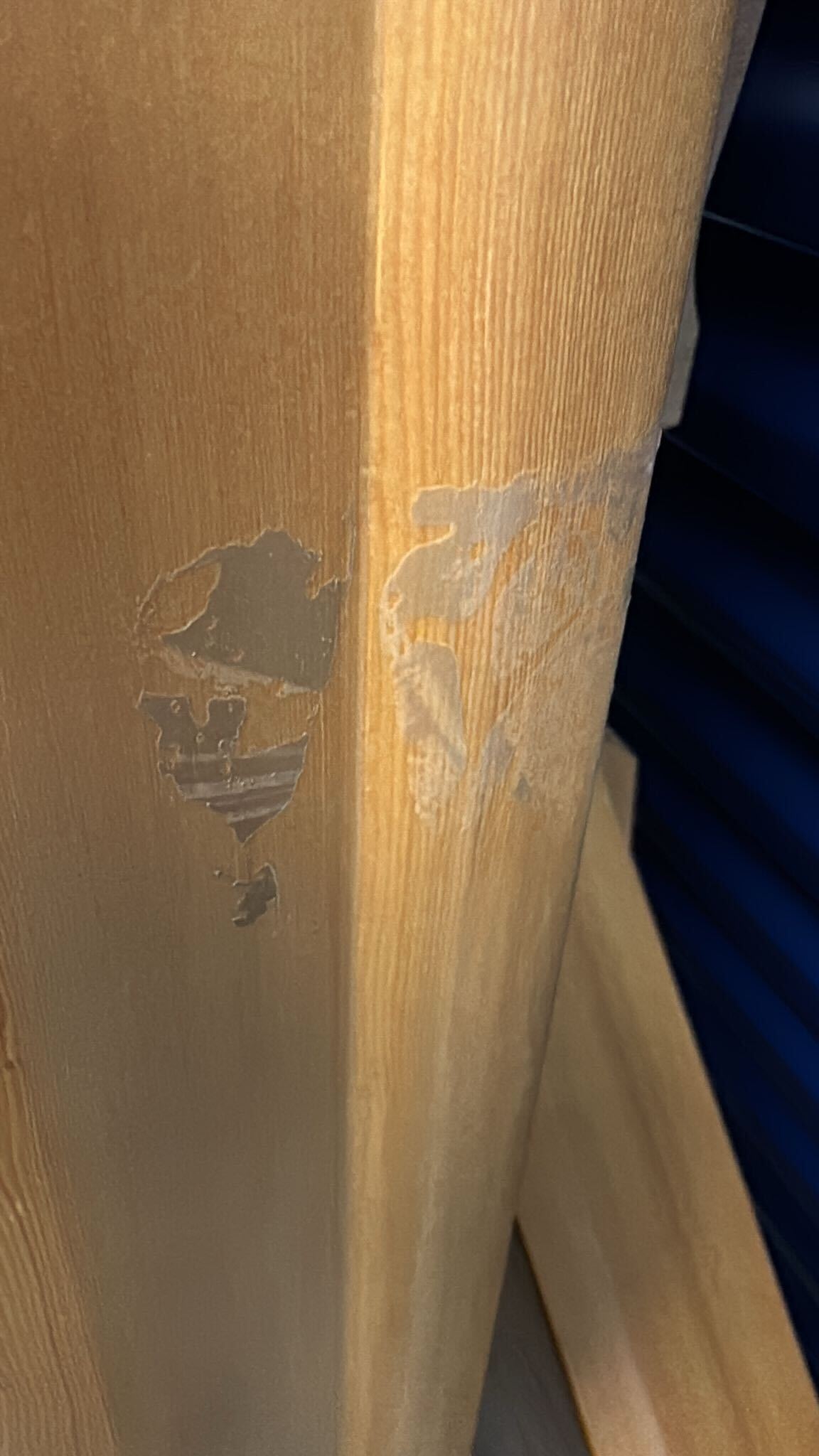 CLEARANCE | Essential Corner Sauna | Damaged